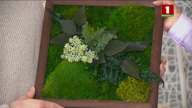 Картина из мха