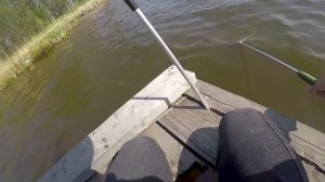 Ловля Карася, Ловля Карпа Весной. Рыбалка в Калининградской области