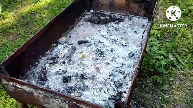 Ромашки.mp4 смотреть онлайн