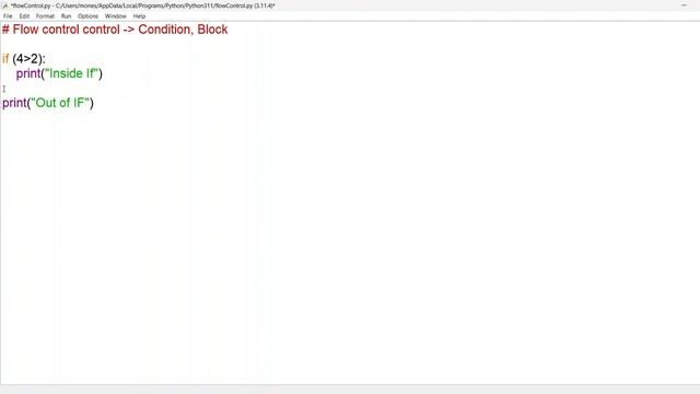 Python programming basics for beginners