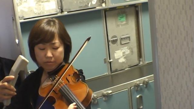 Live Violin Performance On Flight