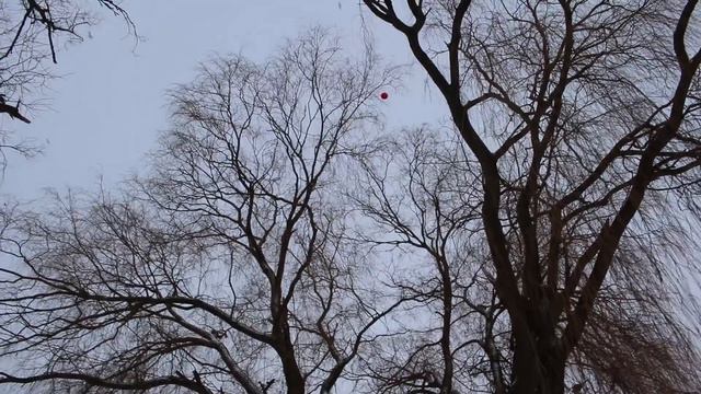 ЭМОДЖИ ФОТО! смотреть онлайн