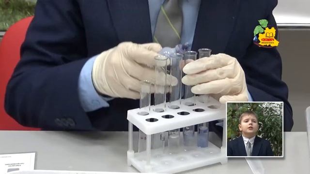 Изучение жесткости питьевой воды в городе Липецк. Объединение «Молодо-Зелено». смотреть онлайн