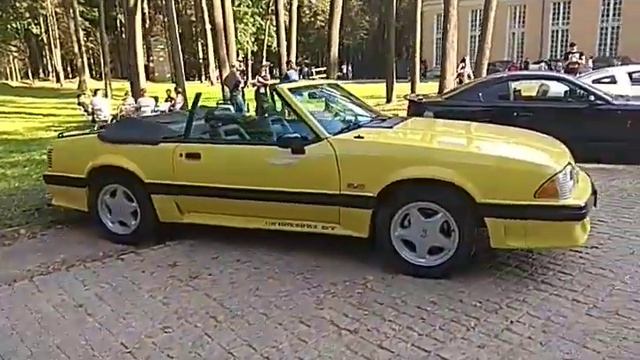 Автокультура в Архангельском