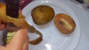 САПОДИЛЛА (ДРЕВЕСНЫЙ КАРТОФЕЛЬ, ЧИКУ)| Экзотические фрукты Вьетнама