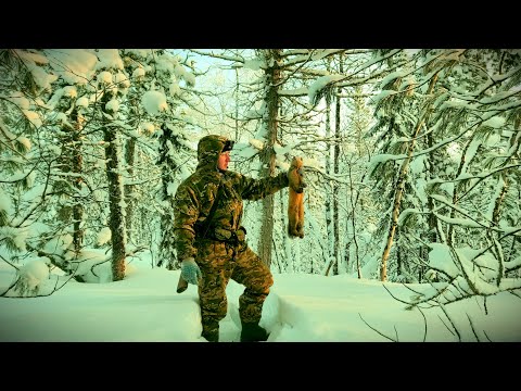 ОХОТА НА СОБОЛЯ Серия № 20 Опять разочаровался в капканах смотреть онлайн