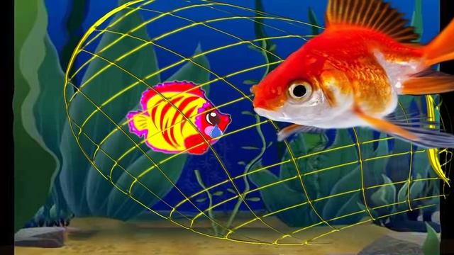 Маленькая рыбка.