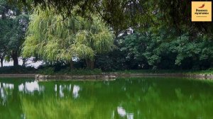 Рассказ мужчины | Измена соседки. Злостный план мести. Сюрприз для жены. Реальная история