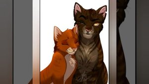 Топ 5 моих любимых пар по котам-воителям