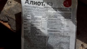 Попробую Алиотом отравить паутинного клеща