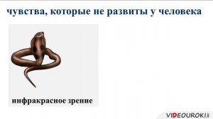 5 класс. 01. Информация вокруг нас