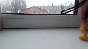 Клип " Рыжая девочка"