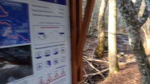 Крымская природа в начале января