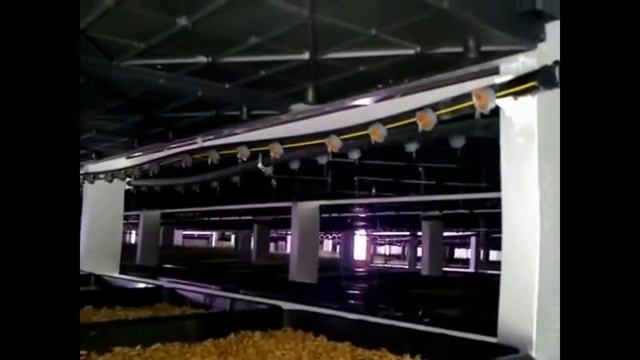 Модульная гидропонная система для производства гидропонного корма Агритом смотреть онлайн