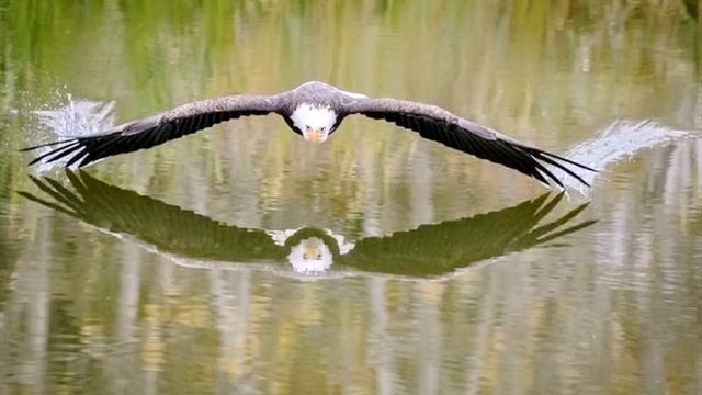 Курящие школьники. Кавказский страницу. В греции много курят. Парю где хочу мем. Парю где хочу.