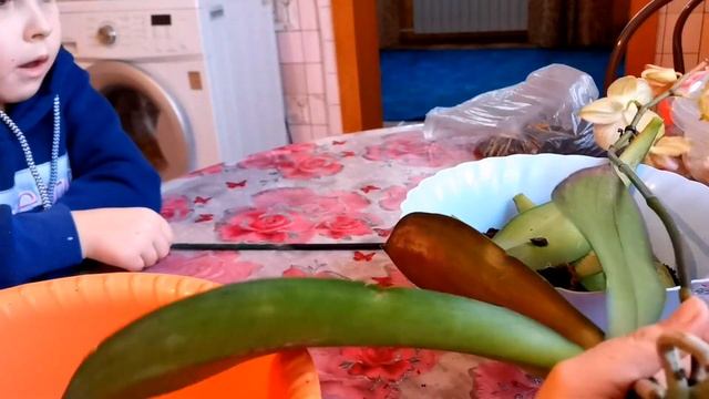 В Магазин/Реанимация Подаренной Орхидеи/Напарились В Бане/03.01.21 смотреть онлайн