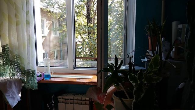 Ежедневный макияж / Мою окно / Будни домохозяйки / Anika Z влог смотреть онлайн