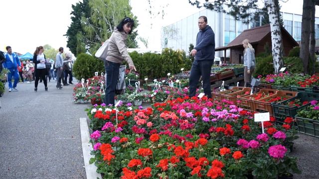 Gardenia, Domexpo, Solaris, Bonsai Slovakia 2015. смотреть онлайн