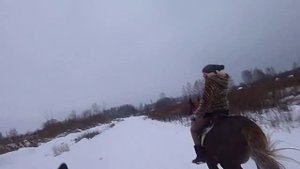 Галоп на лошади зимой. Speedy gallop