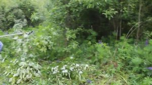 Бензиновая мотокоса STIHL FS 120