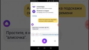 Переговариваюсь и ругаюсь с ЯНДЕКС АЛИСОЙ