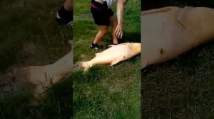 Рыбалка в Выселках