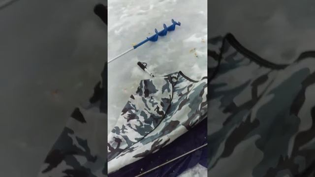 Плещеево озеро,лещ,последний лёд смотреть онлайн