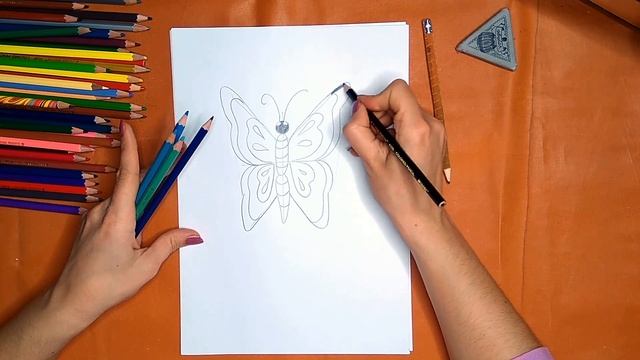 Бабочка, как нарисовать правильно. Онлайн-школа рисования "Малевашки" смотреть онлайн