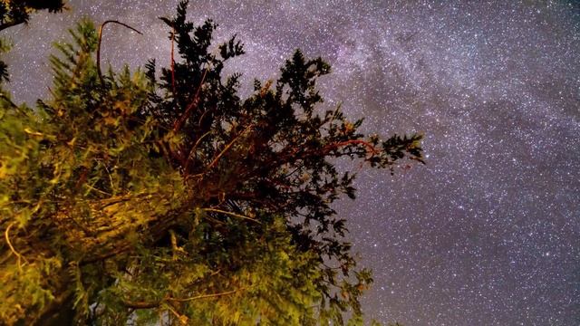 31 января лунный календарь. Фаза луны сегодня. Лунный знак. 29 лунные сутки / Татьянин День.
