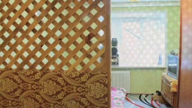 Комната в микрорайоне Оргтруд город Владимир #комната