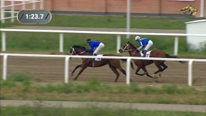 5-я Скачка. Большой Грозненский приз (Дерби). Грозненский ипподром 22 июля 2022.