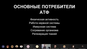 Как перестать откладывать дела и повысить свою продуктивность?