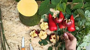 Подделка из овощей и фруктов, ваза с цветами.