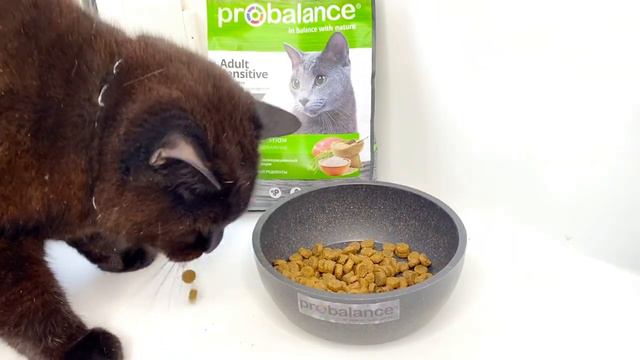 Корм для кошек PROBALANCE "SENSITIVE" смотреть онлайн