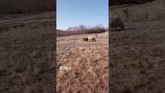 25 февраля 2024 г. (1).mp4 смотреть онлайн