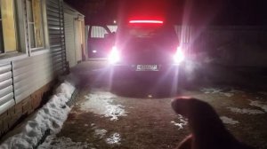 Итог светодиодных лампочек в фонарях заднего хода