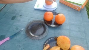 Дегустация томатов южный загар, ананас малибу, гали оранж