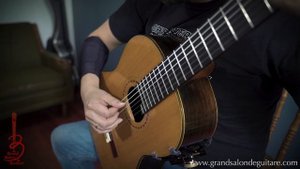 Tárrega: Pavana (Tariq Harb, guitar)