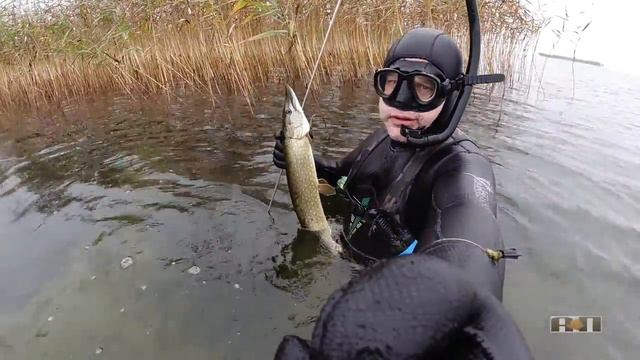 2020 №27 УТРО ТУМАННОЕ смотреть онлайн