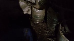 Мастер класс по выращиванию инжира от Степана Михайловича.