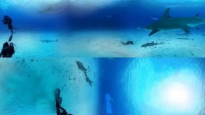 Море на 360 градусов