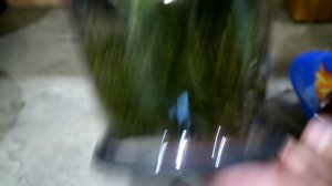 СОУС ТКЕМАЛИ из крыжовника. Любая кислая ягода подойдет?