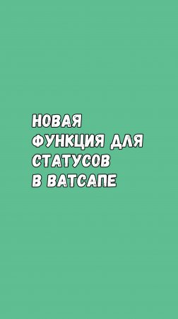 Новая Функция Для Статусов В Ватсапе