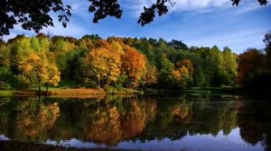 шарманщик Осень.mp4