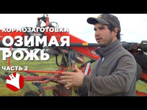 Кормозаготовка| Озимая рожь | КФХ Герефорд