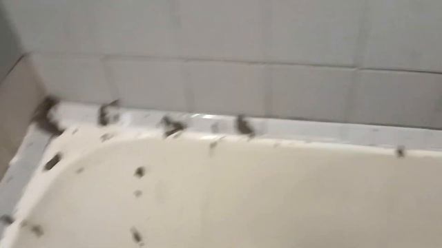 Дешёвый косметический ремонт ванной своими руками. Самостоятельно сделали ремонт в ванной за 5 дней