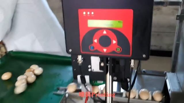 ZENYER 201A Машина для мойки сушки дезинфекции 5000 шт/ч смотреть онлайн