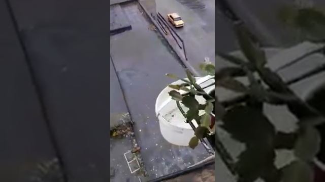 Капельный полив комнатных цветов бесплатно и полезно на городском подоконнике. смотреть онлайн