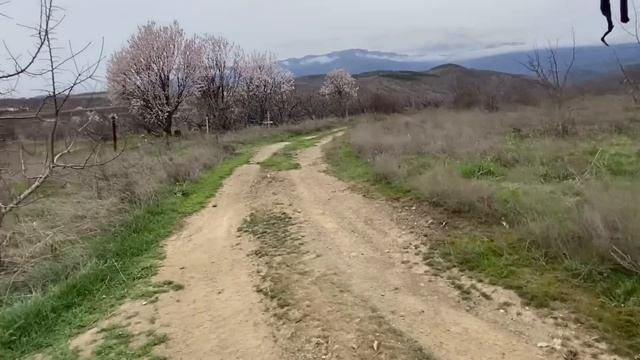 Хоть НАЕМСЯ ДОСЫТА в центре ОЗДОРОВЛЕНИЯ????#малореченское #Крым #неумывакин смотреть онлайн