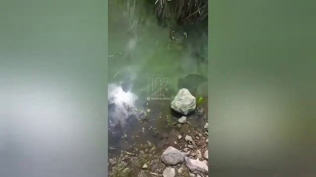 Чумышское Водохранилище, откуда пьют два города Киселёвск и Прокопьевск !